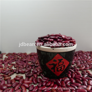 Hot sale quality Natural Brown English red kidney bean with Best qualtiy